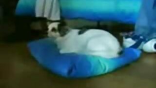 Emocionalna kučka ovisna kučka Eugenia dobija fanallucked na kauču